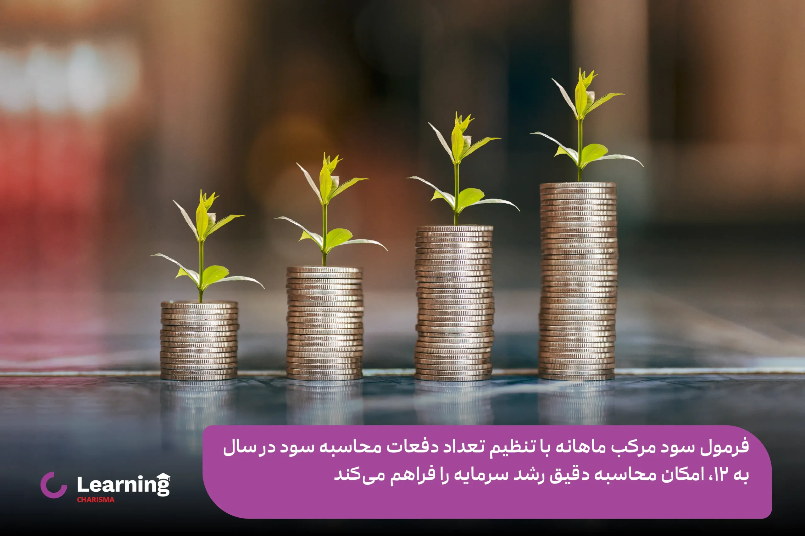محاسبه سود مرکب ماهانه