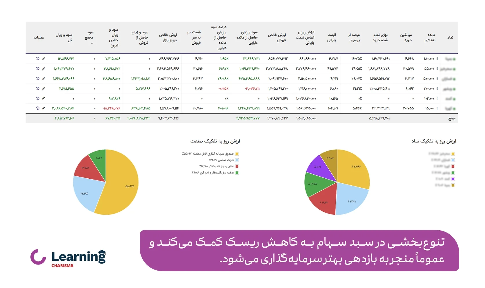 اصل تنوع بخشی در سبد سهام