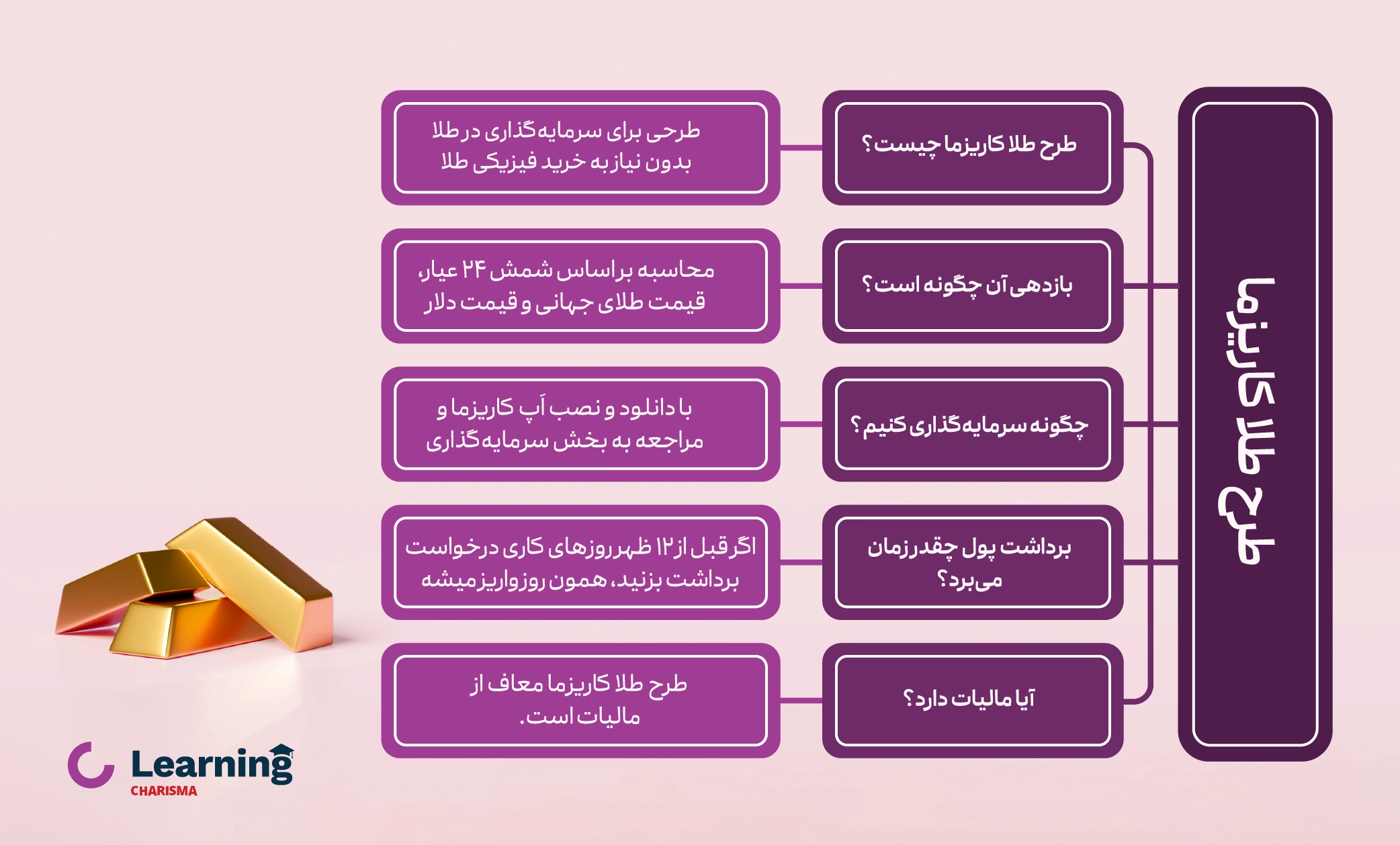 خلاصه ای از طرح طلا کاریزما