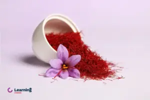 خرید زعفران از بورس کالا
